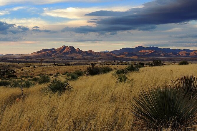 A Wine Tasting Experience in the Vineyards of the Desert - Lunch at Autumn Sage Vineyards