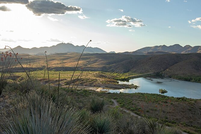 A Wine Tasting Experience in the Vineyards of the Desert - Inclusions and Meeting Point Details