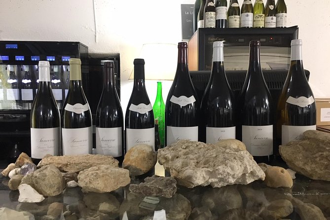 A Winey Day Out: Sauvignon Blanc Wine Tour of Sancerre and Pouilly-Fumé - Winery Visits and Tastings