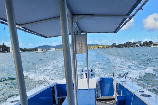 AAA Noosa National Park Tour and Dolphin Safari Whalesongsnoosa - Cost-Effectiveness and Overall Value