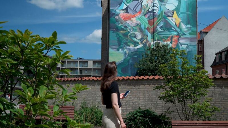 Aalborg Street Art: Explore 79 Wall Paintings - Highlights of the Tour Experience