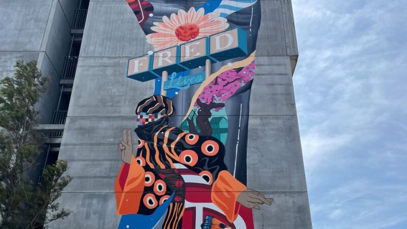 Aalborg Street Art: Explore 79 Wall Paintings - Immersive Storytelling Through Audio and Text
