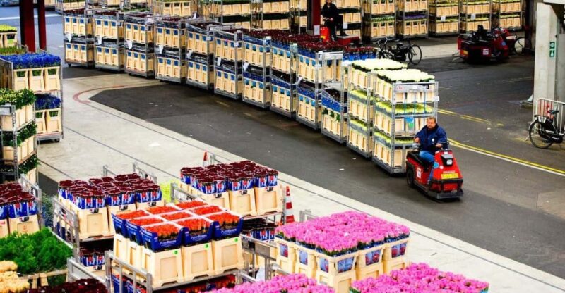 Aalsmeer: Flower Auction Royal Flora Holland Entry Ticket - Key Points