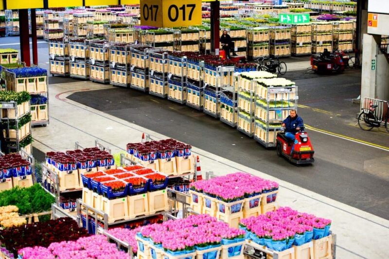 Aalsmeer: Flower Auction Royal Flora Holland Entry Ticket - Global Flower Trade