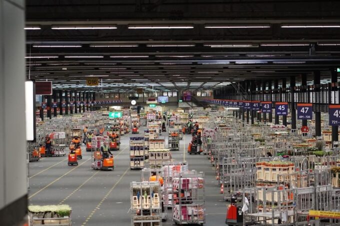 Aalsmeer: Flower Auction Royal Flora Holland Entry Ticket - Flower Distribution Viewing