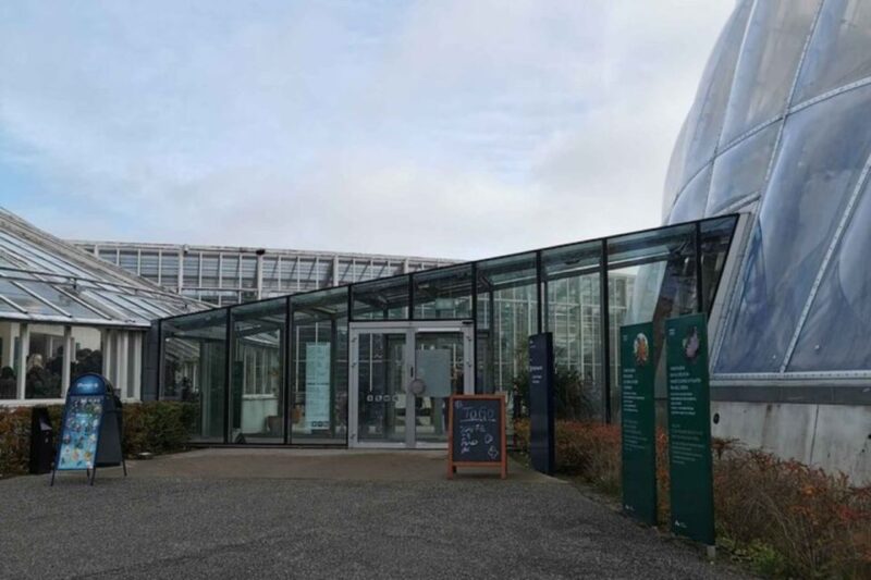 Aarhus: Historic Highlights Self-Guided Audio Tour - Booking and Cancellation