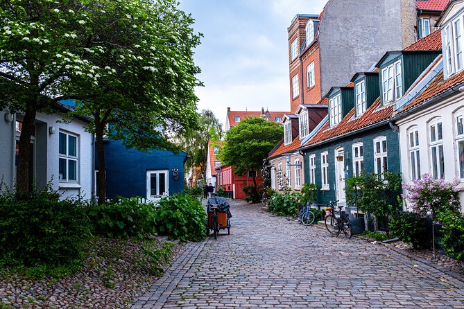 Aarhus Like a Local: Customized Private Tour - Participant Information