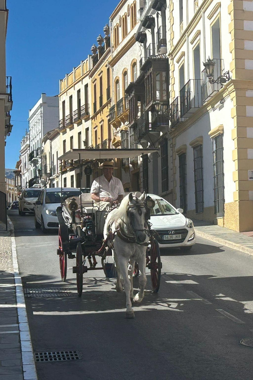 Ab Marbella: Private Tour Ronda Including Transfer - Inclusions and Additional Costs