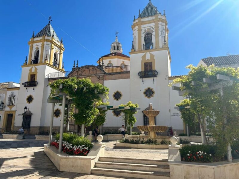 Ab Marbella: Private Tour Ronda Including Transfer - Important Information