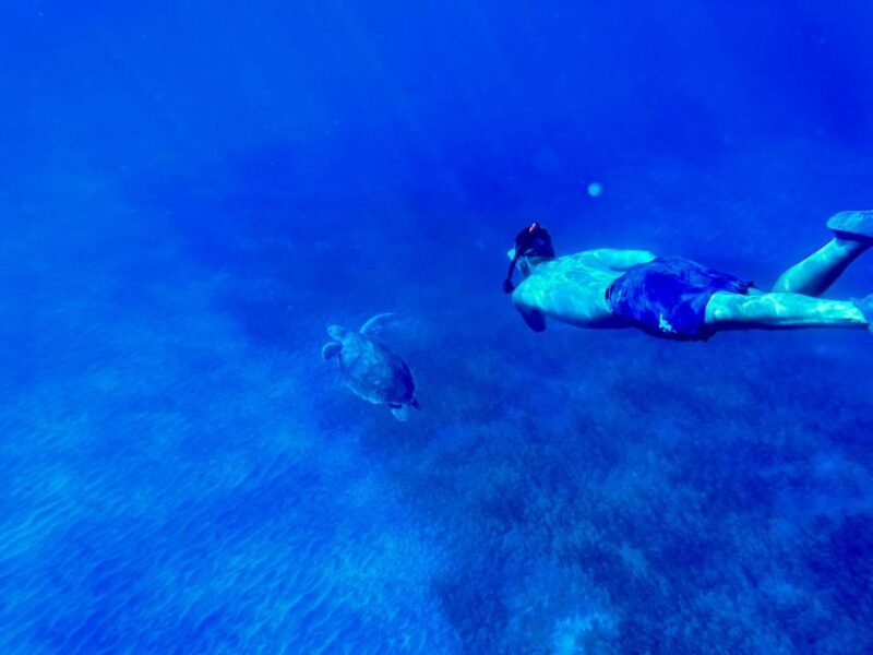 Abades: Guided Snorkeling Tour With Photos - Inclusions and Important Information