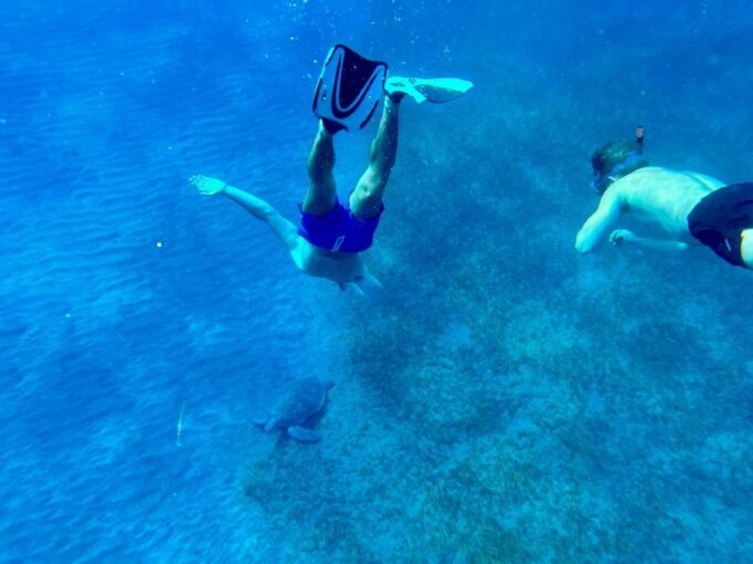 Abades: Guided Snorkeling Tour With Photos - Vibrant Underwater World