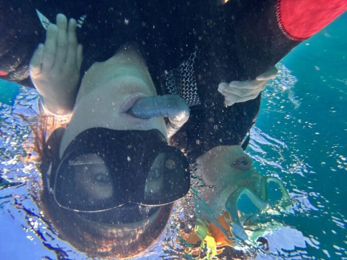 Abades: Guided Snorkeling Tour With Photos - Professional and Multilingual Guides