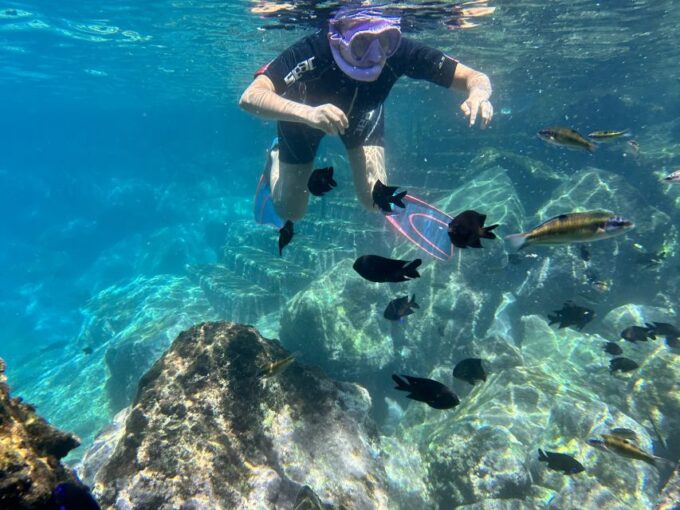 Abades: Guided Snorkeling Tour With Photos - Frequently Asked Questions