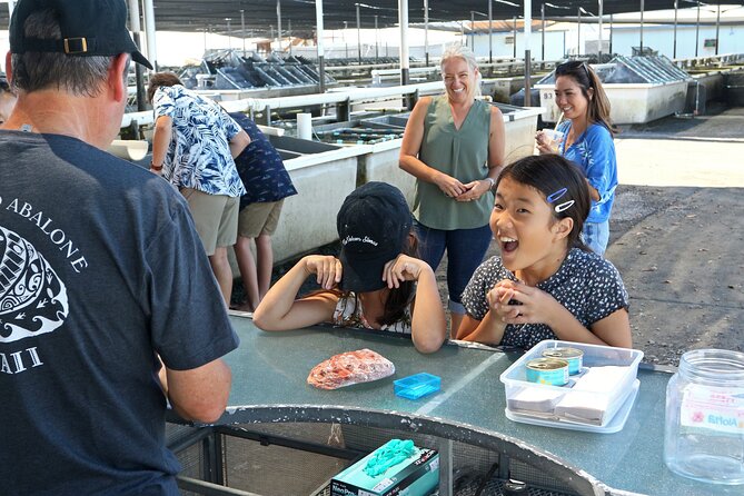 Abalone Farm Tour - Abalone and Seaweed Tasting Included