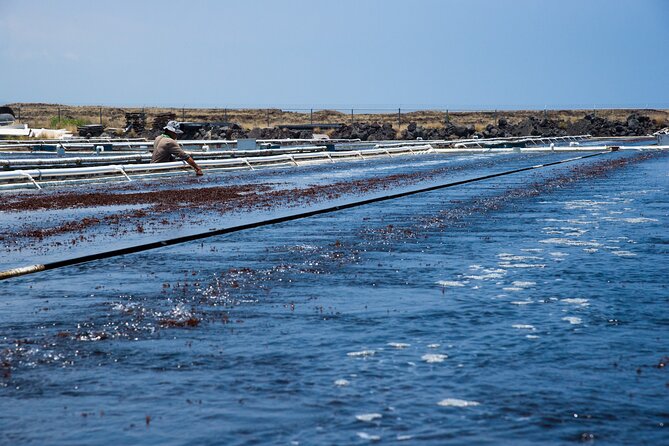 Abalone Farm Tour - Meeting and End Point Locations