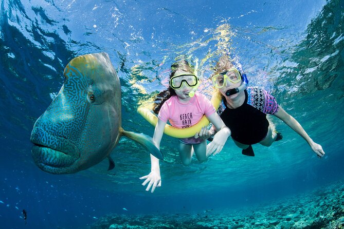 ABC Snorkel Charters Port Douglas Snorkelling Max 12 Passengers - Meeting Point and Logistics