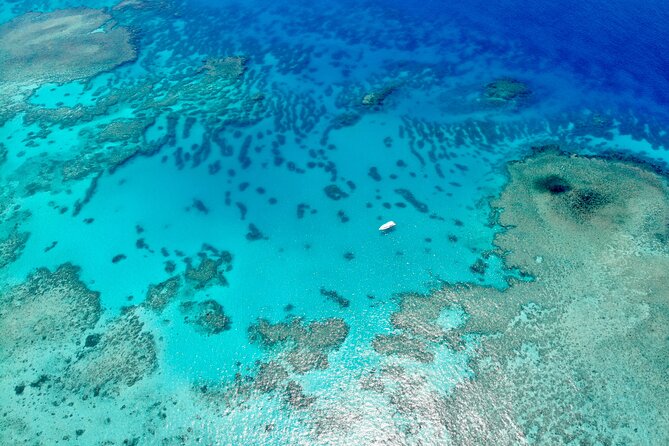 ABC Snorkel Charters Port Douglas Snorkelling Max 12 Passengers - Guided by Marine Biologists
