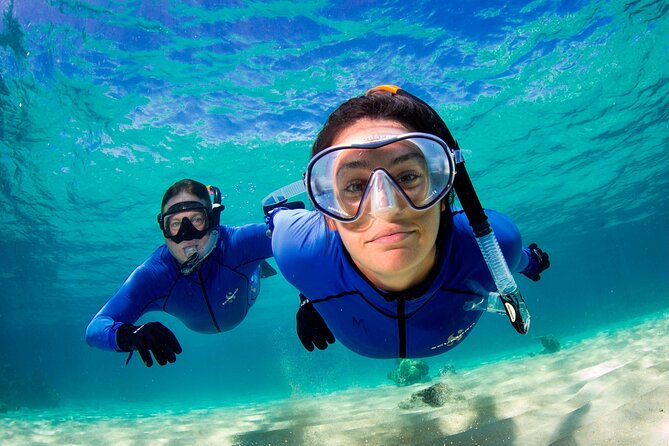 ABC Snorkel Charters Port Douglas Snorkelling Max 12 Passengers - Refreshments and Lunch