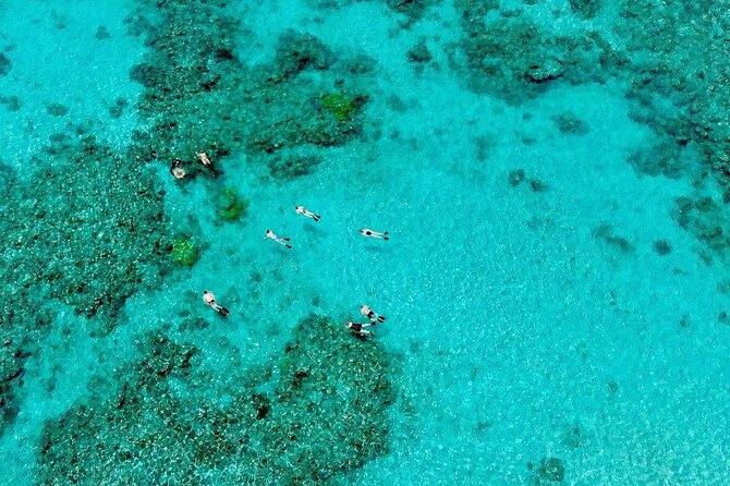 ABC Snorkel Charters Port Douglas Snorkelling Max 12 Passengers - Additional Considerations