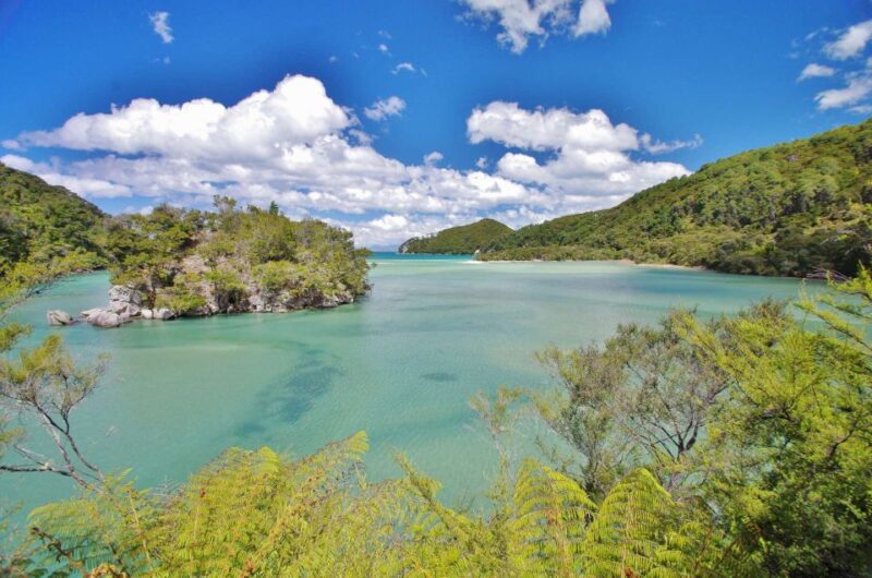 Abel Tasman National Park Cruise and Walking Tour Combo - Forest and Swing Bridge