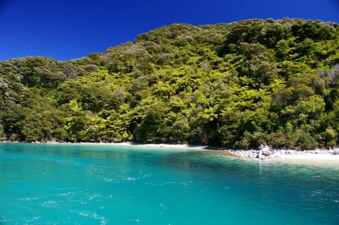 Abel Tasman National Park Scenic Cruise - Recap