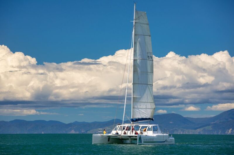 Abel Tasman National Park: Self-Guided Walk & Sailing - Experience Highlights