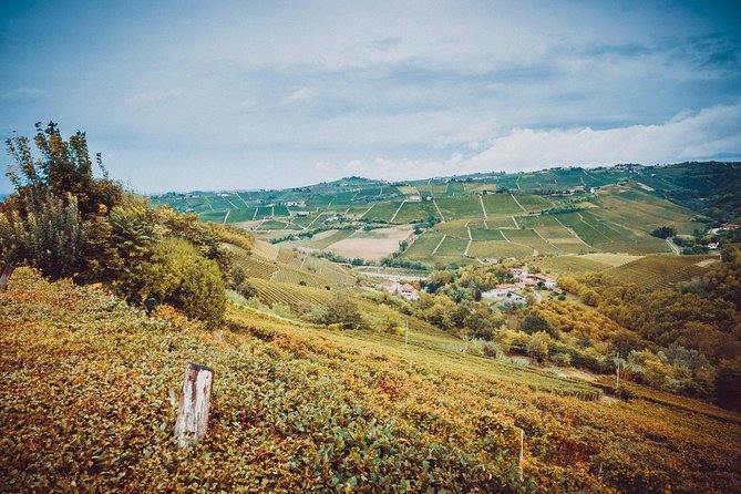 Abellonio Cascina Piccaluga - Visit to the Vineyards, to the Wine Tasting Cellar - Booking Confirmation and Cancellation