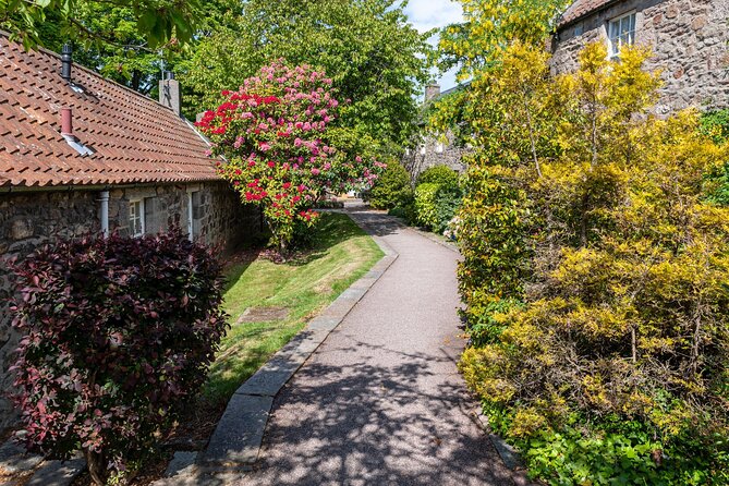 Aberdeen Historical Walking Tour - Practical Information