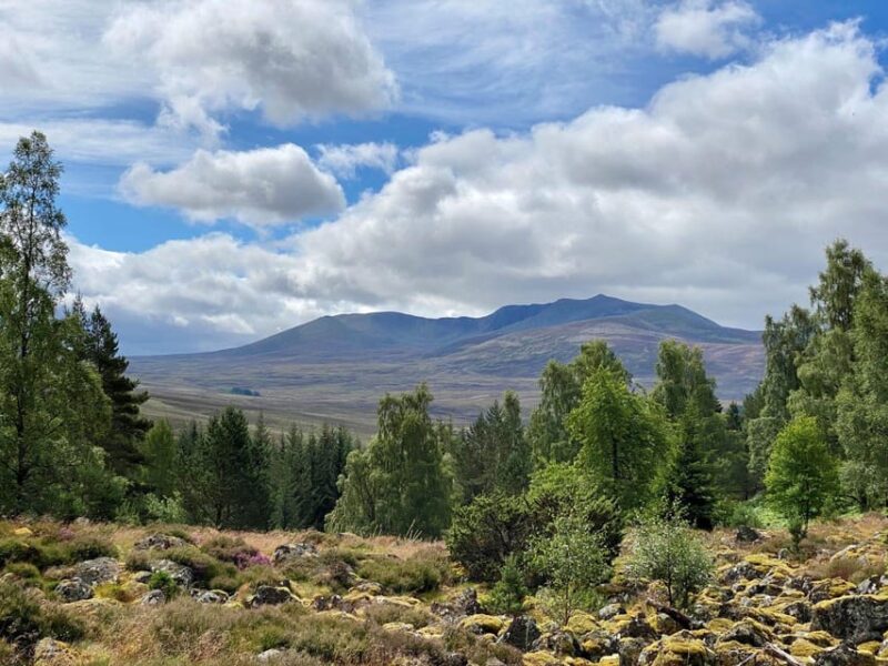 Aberdeenshire: Balmoral Cairns Walking Tour - Key Points
