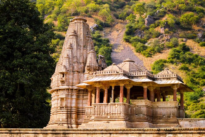 Abhaneri Breathtaking Stepwell and Ghost Fort of Bhangarh From Jaipur - Inclusions