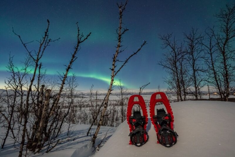 Abisko: Aurora Snowshoeing - Overview