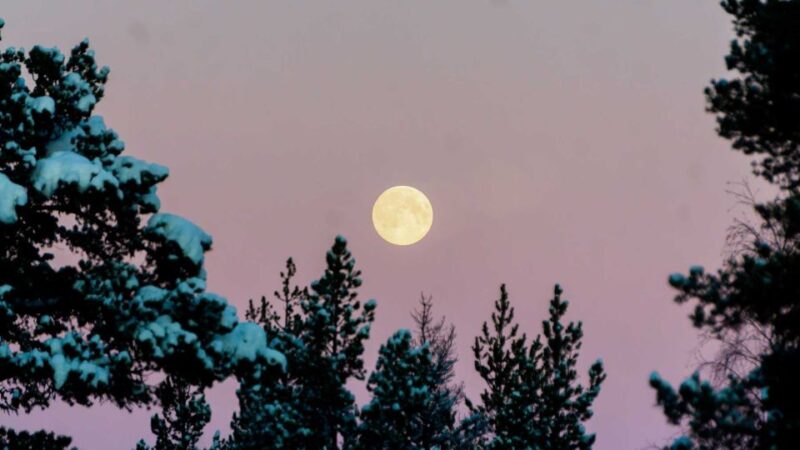 Abisko: Guided Sunrise Morning Hike With Hot Chocolate - Good To Know