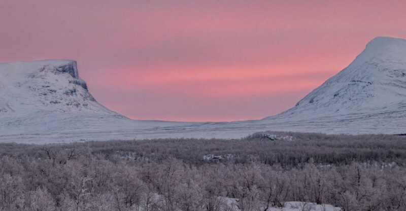 Abisko National Park: Scenic Morning Hike With Transfer - Hiking Trails and Scenery