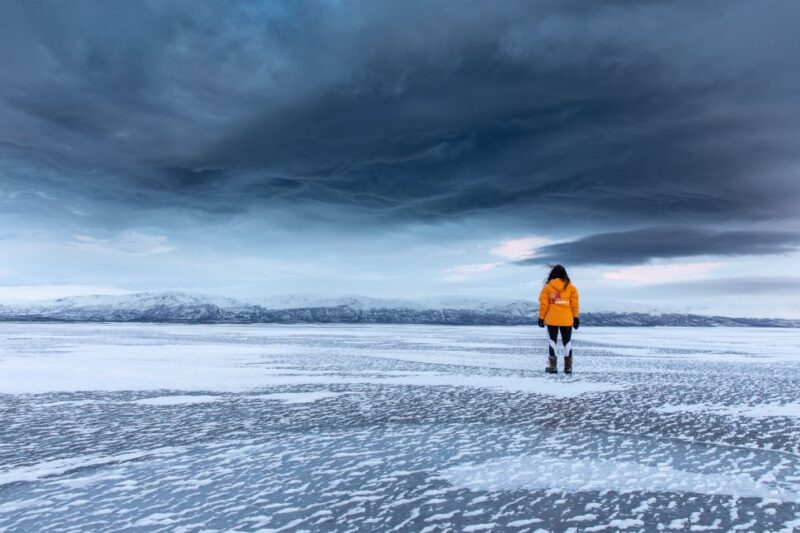 Abisko National Park: Scenic Morning Hike With Transfer - Wildlife Sighting Opportunities