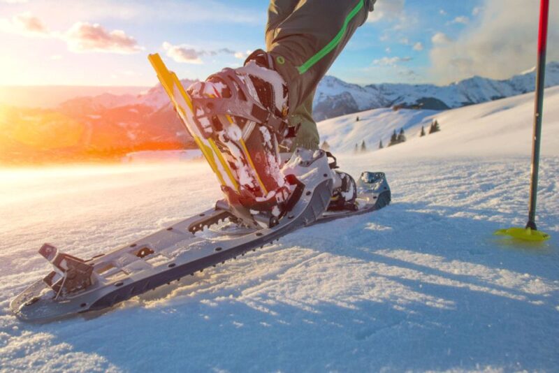 Abisko: Wilderness Snowshoe Hike - Good To Know