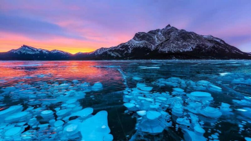Abraham IceBubble, Peyto, Bow Lake with Snowshoeing& Icewalk - The Real Value of This Tour