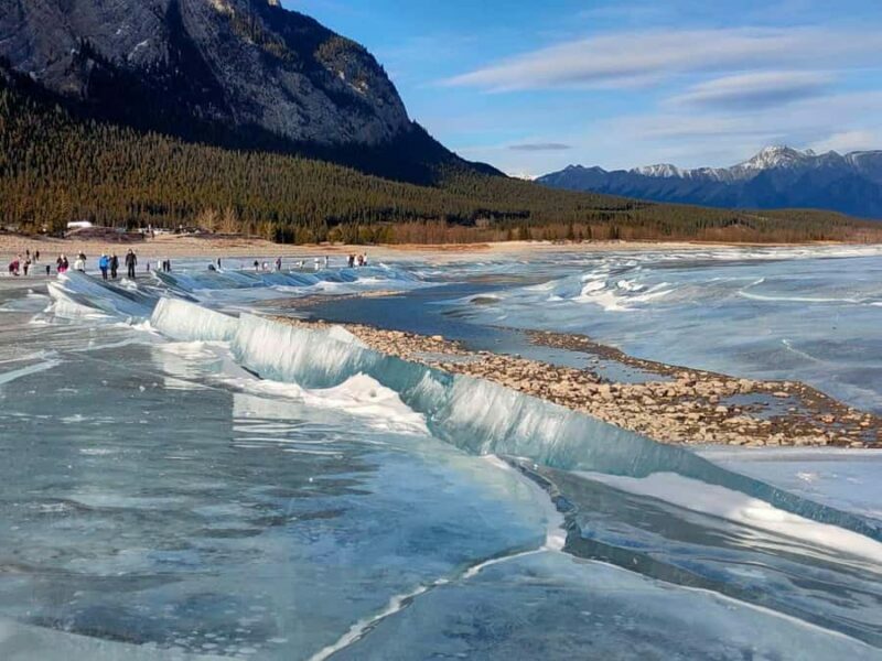 Abraham IceBubble, Peyto, Bow Lake with Snowshoeing& Icewalk - Final summary