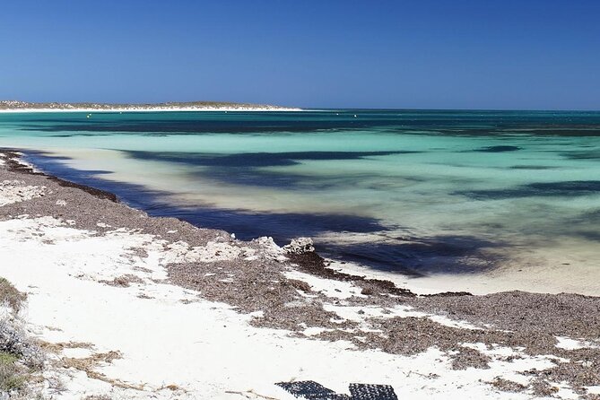 Abrolhos Islands 5 Day Cruise - Inclusions