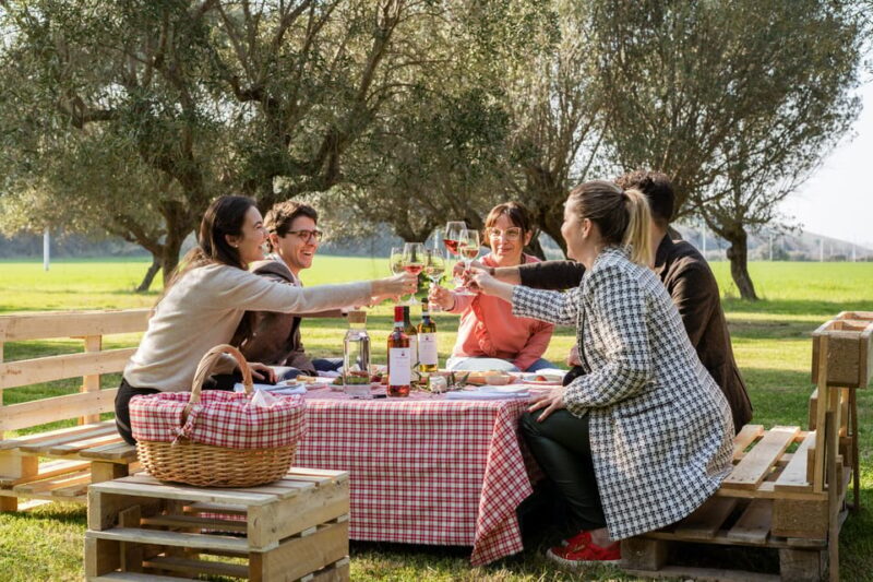 Abruzzo: Country Picnic in an Olive Grove at a Winery - The Perfect Setting for Relaxation
