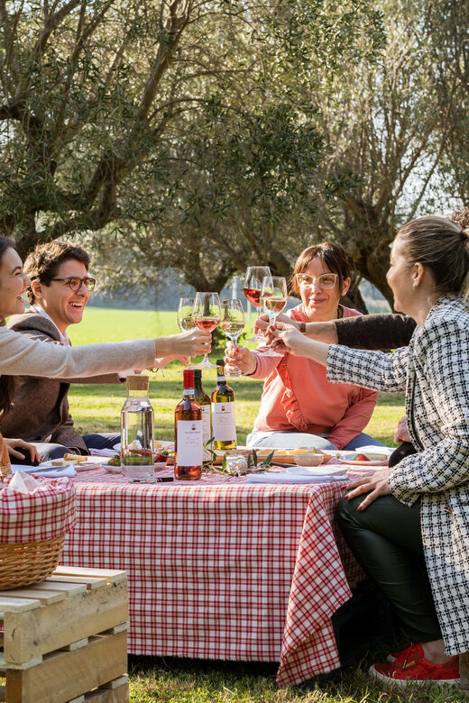 Abruzzo: Country Picnic in an Olive Grove at a Winery - Customer Reviews and Feedback