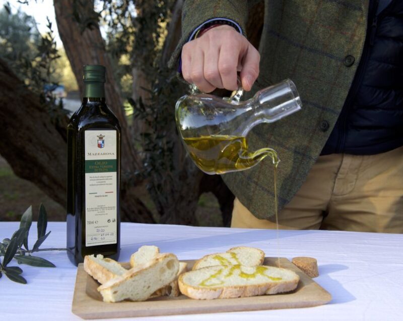 Abruzzo: Historic Cellar Wine Tour and Tasting - Expert Guidance and Insights