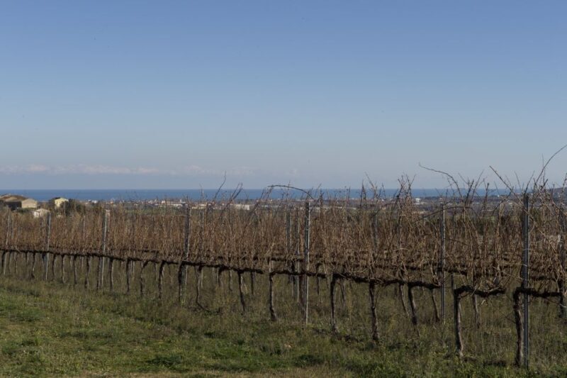 Abruzzo: Historic Cellar Wine Tour and Tasting - Booking Your Tour