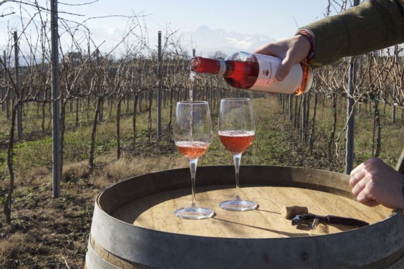 Abruzzo: Historic Cellar Wine Tour and Tasting - Location and Meeting Point
