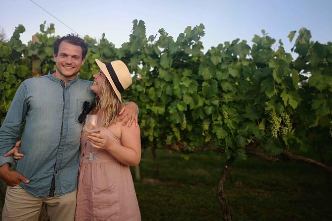 Abruzzo Wine Tasting & Winery Visit - Included Snacks and Platters
