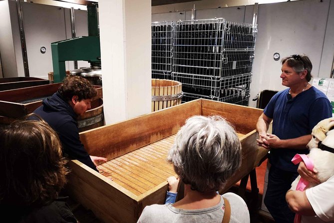 Abruzzo Wine Tasting & Winery Visit - Additional Benefits for Participants