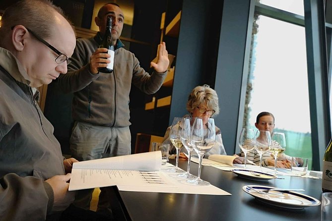 Abruzzo Wine Tasting & Winery Visit - Accessibility and Recommendations