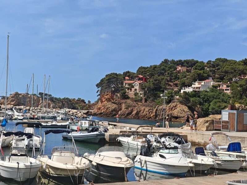 Absolutely Calanques of Marseille. Canyons, Fishing Village, and Turquoise Beach - Discovering the Ancient Paths and Fishing Huts