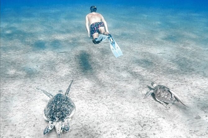 Abu Dabbab Beach Full Day Trip With Turtles - Additional Information