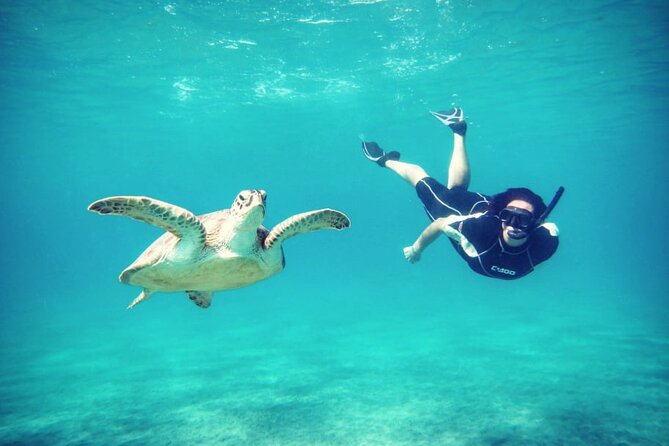Abu Dabbab Beach Full Day Trip With Turtles - Dugong Spotting