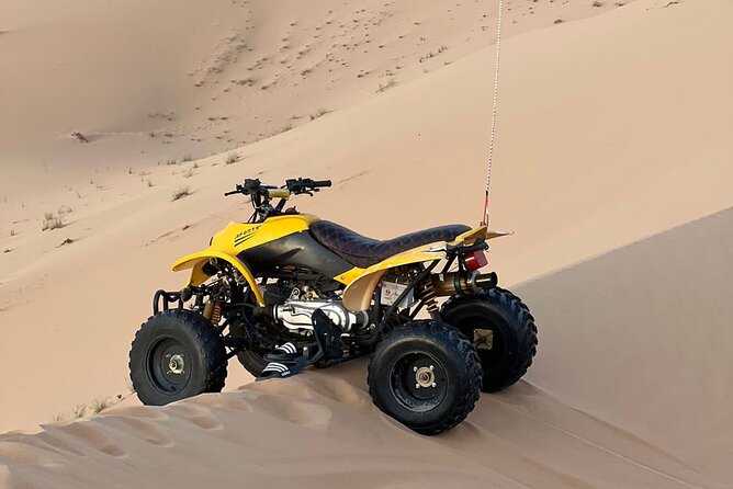 Abu Dhabi: 4-Hour Morning Safari With Camel Ride & Sand Boarding - Camel Rides and Sandboarding